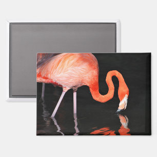 Flamingo refrigerator magnet