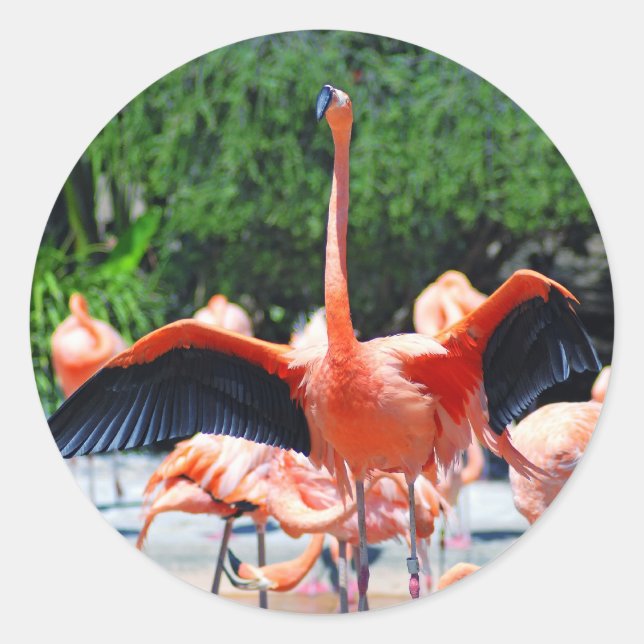 Flamingo Round Sticker (Front)