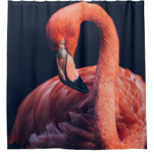 Flamingo Shower Curtain