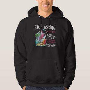 Flamingo Stop Asking Why Birds Fans Hoodie