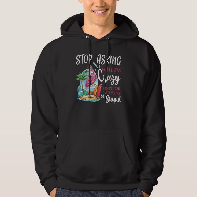 Flamingo   Stop Asking Why Birds Fans Hoodie (Front)