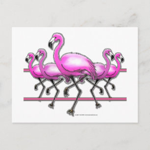 Flamingo Strip Postcard