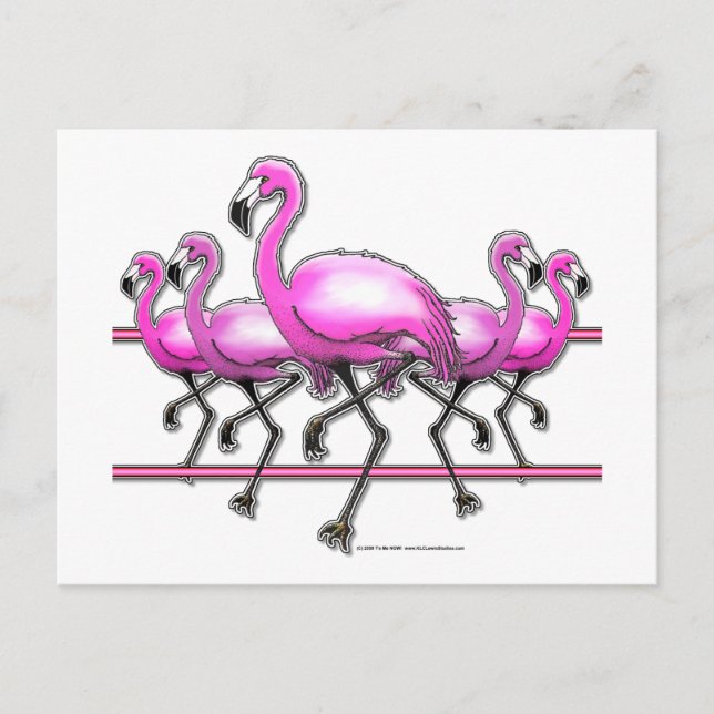 Flamingo Strip Postcard (Front)
