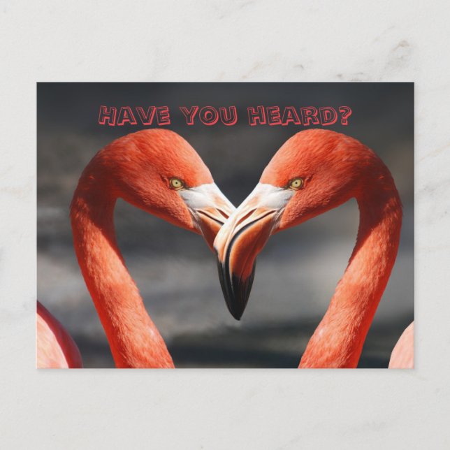 FLAMINGO TALK CHANGE OF ADDRESS CARD (Front)