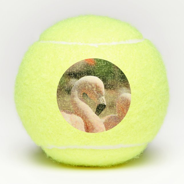 Flamingo Tennis Balls (Front)