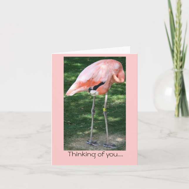 Flamingo Thinking of you... Card (Front)