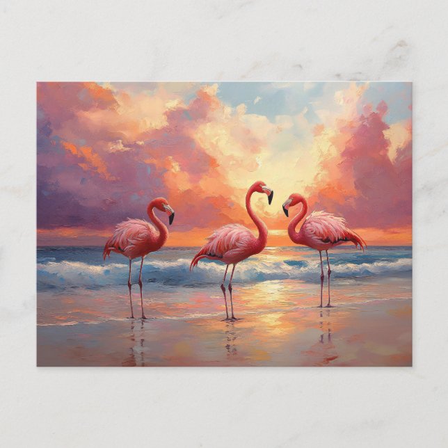Flamingo Trio on the Beach Postcard (Front)