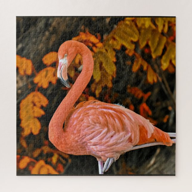 Flamingo, up close and beautiful jigsaw puzzle (Vertical)