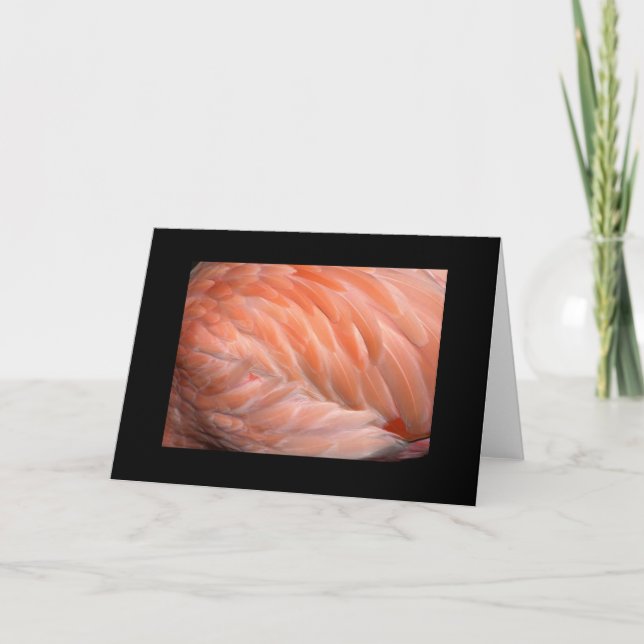 Flamingo Up Close Greeting Card (Front)