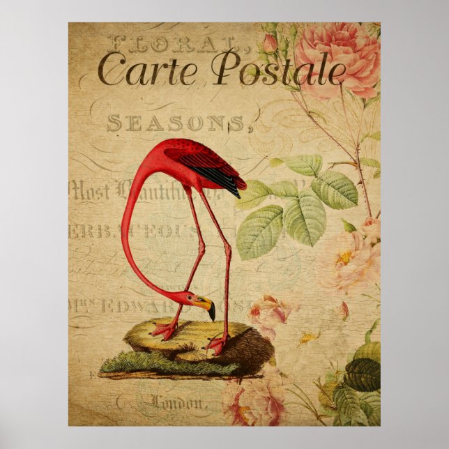 Flamingo Vintage French Postcard Poster (Front)