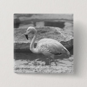 Flamingo wading in water B&W 15 Cm Square Badge