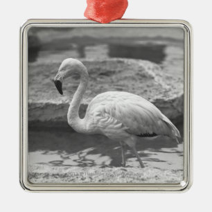 Flamingo wading in water B&W Metal Tree Decoration