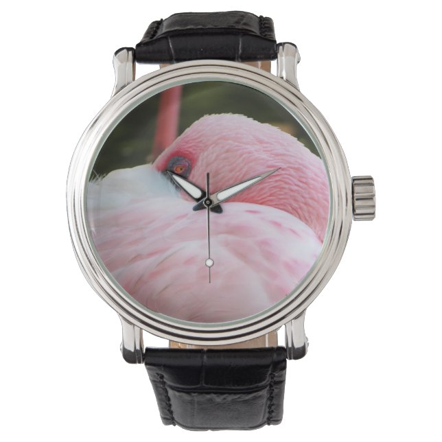 Flamingo  watch (Front)
