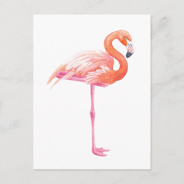 Flamingo watercolor postcard (Front)