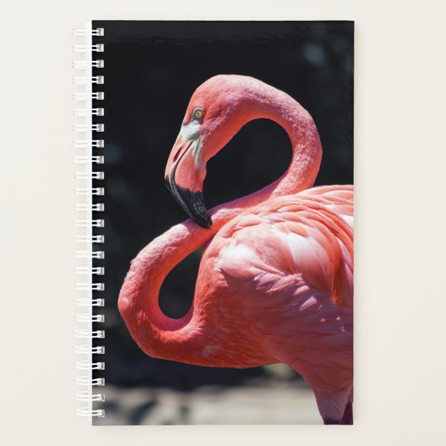 Flamingo Weekly/Monthly Planner (Front)