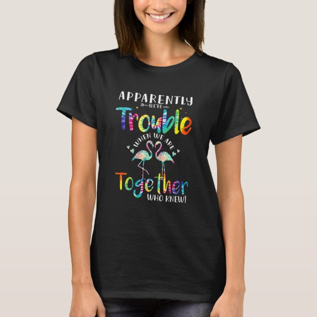Flamingo  We're Trouble When We Are Cruising Toget T-Shirt (Front)