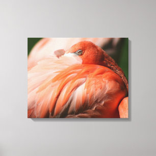 Flamingo Wrapped Canvas