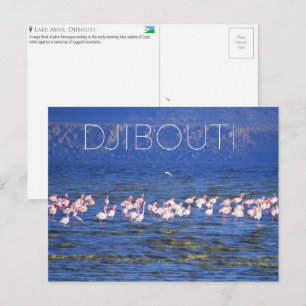Flamingoes at Lake Abhe, Djibouti Travel Postcard