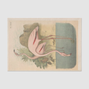 Flamingoes Bird Ephemera Decoupage Tissue Paper