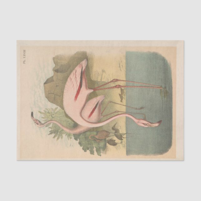 Flamingoes Bird Ephemera Decoupage Tissue Paper (Front)