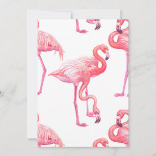 Flamingos