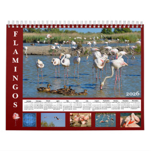 Flamingos 12 month calendar