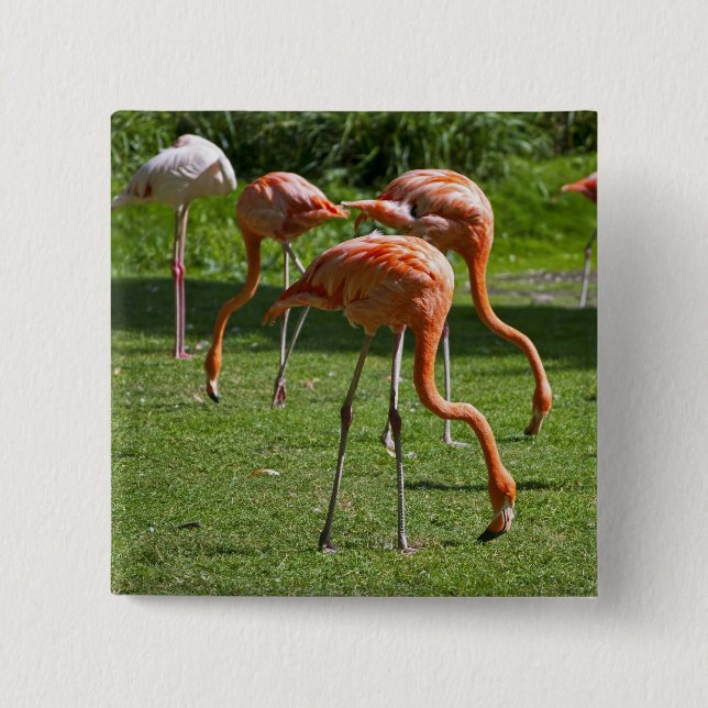 Flamingos 15 Cm Square Badge (Front)