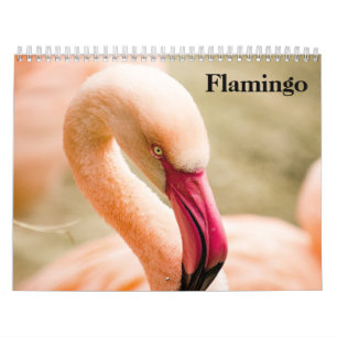 Flamingos 2026 calendar