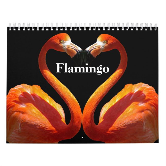 Flamingos 2027 calendar (Cover)