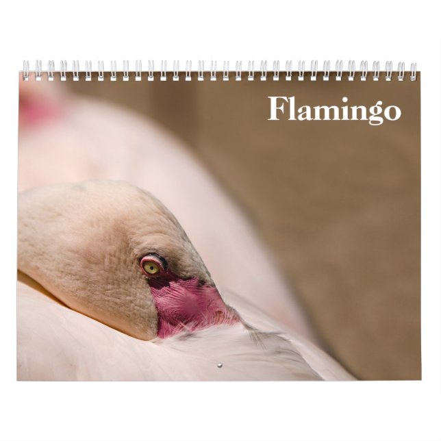 Flamingos 2027 calendar (Cover)