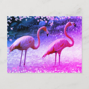 Flamingos and waterfall postcard