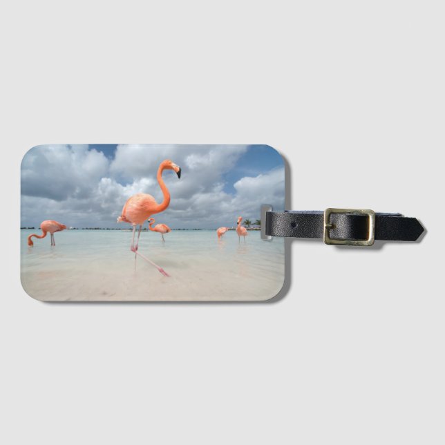 Flamingos Beach Aruba Luggage Tag (Front Horizontal)