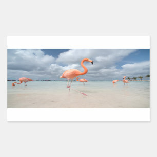 Flamingos Beach Aruba Rectangular Sticker