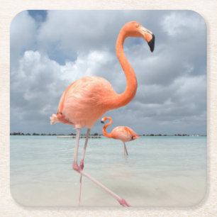 Flamingos Beach Aruba Square Paper Coaster