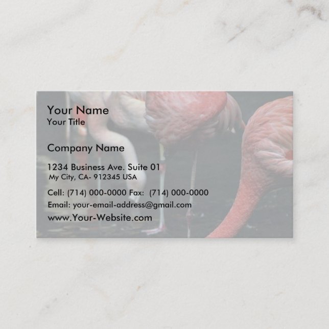 Flamingos Business Card (Front)