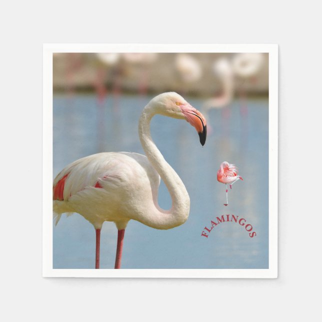 Flamingos calendar napkin (Front)
