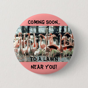 Flamingos, Coming Soon..., To a Lawn Near You! 6 Cm Round Badge