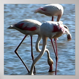 Flamingos Feeding Time Acrylic Painting Poster