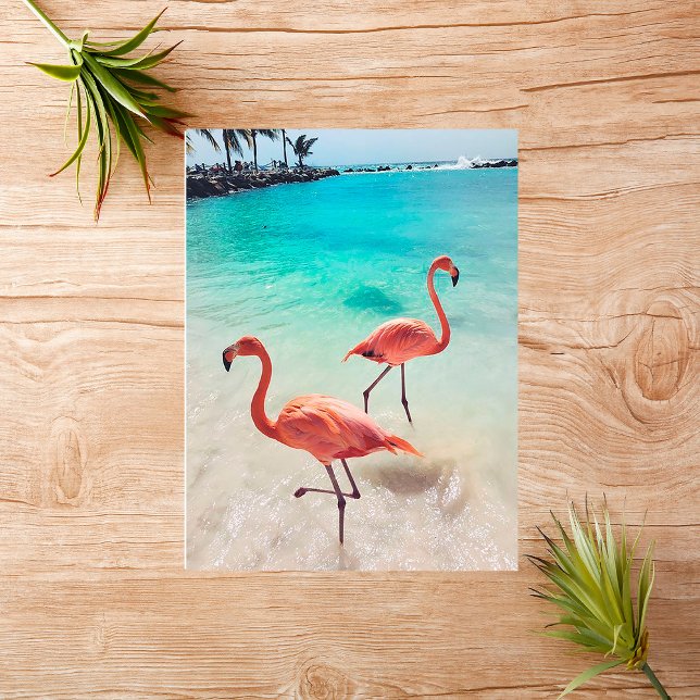 Flamingos Greeting Card (Creator Uploaded)