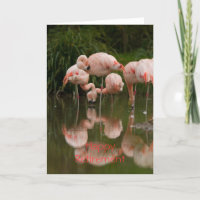 Flamingos Happy Retirement Card