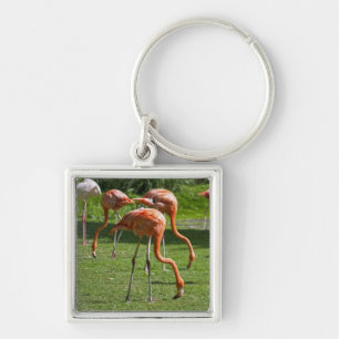 Flamingos Key Ring