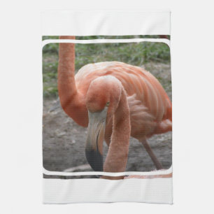 Flamingos Kitchen Towel