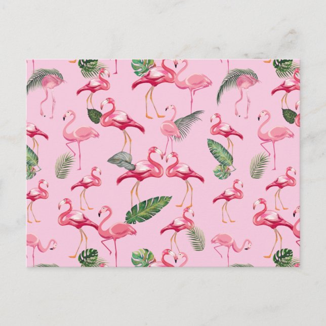 Flamingos Love Pattern 5 Postcard (Front)