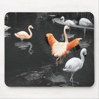 Flamingos Mouse Pad