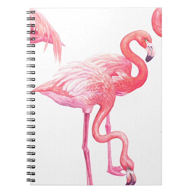 Flamingos Notebook (Front)