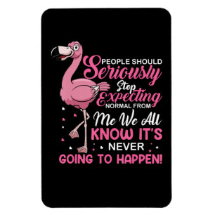 Flamingos People Should Stop Expecting Normal Magnet