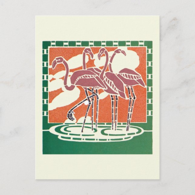 Flamingos Postcard (Front)