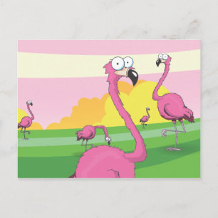 flamingos postcard