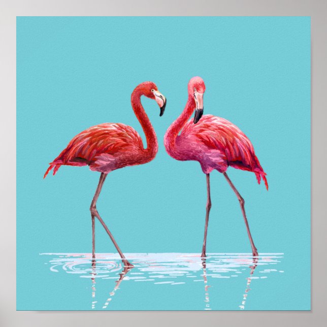 Flamingos Poster (Front)