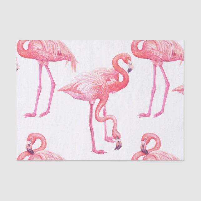 Flamingos Tissue Paper (Front)